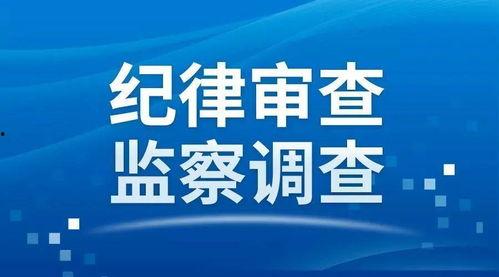 长春头条今日爆料,揭秘背后惊人真相！