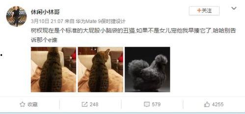 蔡徐坤今日爆料微博,娱乐圈背后惊人真相曝光