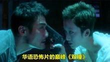 双瞳在线观看免费国语,免费观看的国语悬疑巨制