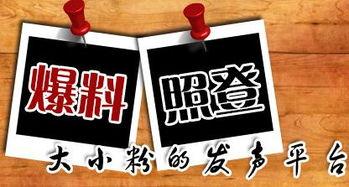 重庆爆料新闻电话号码,揭秘城市风云，一键直击新闻现场