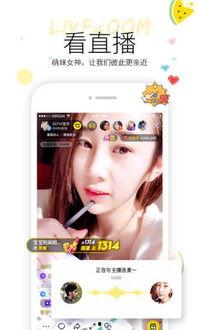 吃瓜素材免费视频下载软件,免费视频下载软件，吃瓜群众必备利器