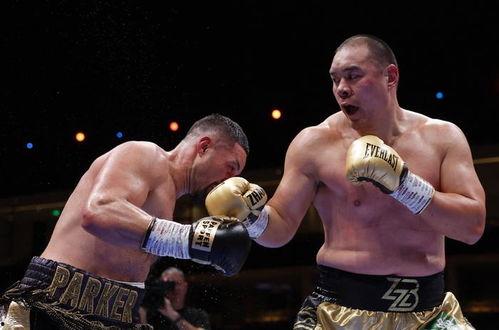 张志磊爆料打假拳视频,视频曝光行业丑闻