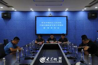 青岛城阳新闻爆料,聚焦城阳发展新动态，解码区域崛起新篇章