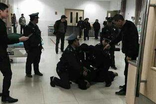 浙江医院最新爆料,揭秘医疗行业变革背后的故事