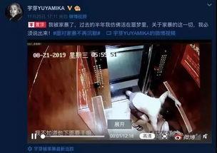 网友爆料家暴视频大全集,网友爆料视频大全集深度解析