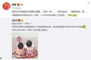 背影采访爆料视频播放,视频播放背后的故事与真相