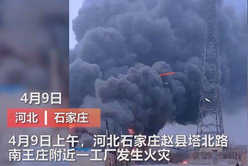 诏安媒体爆料事件视频播放,视频内容引发热议