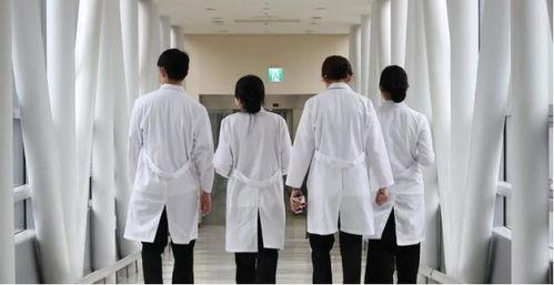 韩国医生土豆在线观看,揭秘韩医魅力与精湛技艺