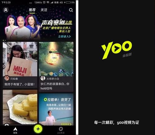 视频爆料规则最新版,揭秘合规发布与风险规避要点